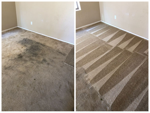 Carpet Cleaning